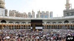 Причиною більшості смертей стала спека вище 50 градусів Цельсія. У святих місцях та в чергах до них паломникам не було де сховатися в тінь