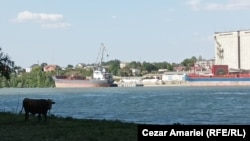 În timp ce pe malul ucrainean e o activitate portuară intensă, malul românesc e mai de folos animalelor decât localnicilor.