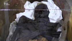 У Києві презентували давньоєгипетські старожитності (відео)