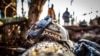 Хто і як шукає безвісти зниклих військових? Пояснюємо