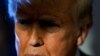Президент проб и ошибок. Сто напряженных дней Дональда Трампа