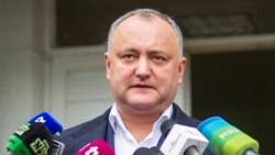 Cum a cheltuit președinția R.Moldova 31.000 de euro pe flori, anul trecut