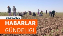 HG: Welaýatlarda tok öçürilende ogurlyk köpelýär
