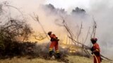 Spain wildfires