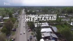 Бийлик аралашкан жер талаш