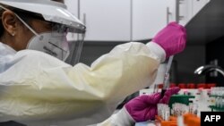 АКШда коронавирусту аныктоо боюнча тест алып жаткан дарыгер. 