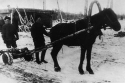 Гужовий транспорт. Амурський край РРФСР