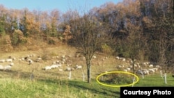 Mjesto gdje se samostan nekad nalazio obilježeno žutim