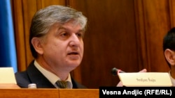 Srđan Šajin