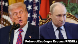 Дональд Трамп і Володимир Путін можуть зустрітися впродовж найближчих днів