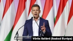 Opozitari hungarez, Peter Magyar. Fotografi nga arkivi.