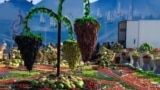 Выставка бахчевых в Авазе во время Конференции ООН по развивающимся странам, не имеющим выхода к морю
