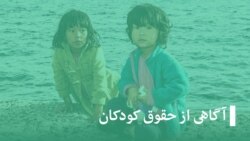 آشیانه