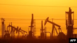 Количество действующих нефтяных буровых в США за год выросло в 1,5 раза 